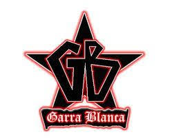 2.4m likes · 34,364 talking about this · 1,180 were here. Resultado De Imagen Para Imagenes De Colo Colo Colocolo Equipo De Futbol Futbol Chileno