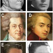 1 The collective, collective intentionality, and collective action