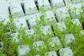 Great prices, excellent customer service. Green Wallpaper Tumblr Facebook