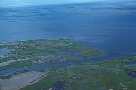 Fluvial depositional landforms are landforms created by the depositional activity of rivers. Delta Sediment Deposited Where A River Flows Into An Ocean Or Lake Landforms Earth World