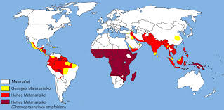 Das virus war offenbar aus kamerun eingeschleppt. Malaria Die Plage Der Tropen Internistische Praxis Dipl Med Jens Uwe Mai