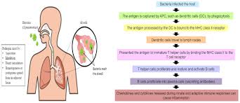 Image result for Penicillin Resistant Pneumococcus