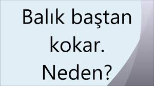 Balik Bastan Kokar Neden Balik Bilmecesi Bilmece Bilmeceler Masal Balik