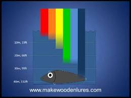 Fishing Lure Color Selection Part 2 Depth Affects What Colors Fish Can See