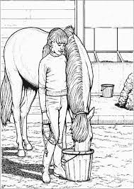 Dibujo De Nina Con Su Caballo Dibujos De Caballos Dibujos Para Ninos Caballos A Lapiz