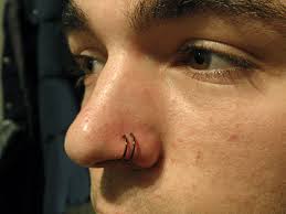 I don't know if this. Double Nose Piercing Closeup Image