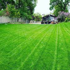 Windmill Lawn And Garden Care Home Facebook