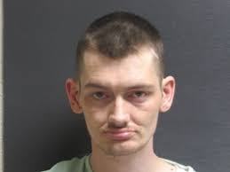 On 03/31/2025 Deputies apprehended Tyler Holbert at a residence in  Monongahela Township. Holbert was wanted