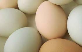 In quali alimenti si trova il colesterolo alimentare negli alimenti di origine animale la quantità di colesterolo varia da 3 mg in una porzione di latte scremato (125 ml) a 220 mg in 1 uovo, quasi. Uova Colesterolo Negli Alimenti E Rischio Di Ictus Nuove Evidenze Scientifiche My Best Life