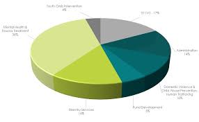 Pie Chart Interface Children Family Services