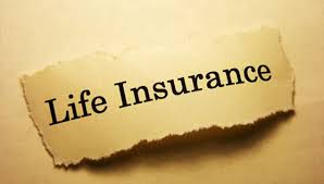 Acorn are one of the largest specialist taxi insurance providers in the uk, serving countless public and private hire drivers since our inception in 1981. Join Us On Thursday March 7th At 7 00 Pm For This Educational Workshop To Teach You How To Insure Life Insurance Companies Term Life Insurance Life Insurance