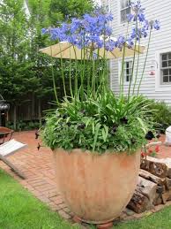 Seasonal Containers Garden Containers Garden Pots Container Plants