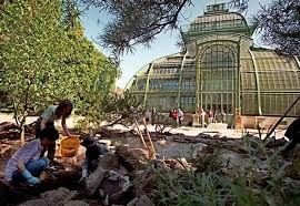 Zur navigation zur suchmaske zum detaileintrag von botanischer garten der universität wien. Botanischer Garten In Schonbrunn Konnte Bald Eintritt Kosten Wien Derstandard At Panorama