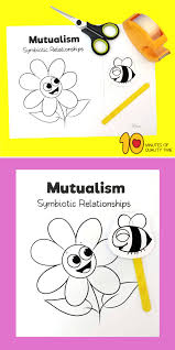 We did not find results for: Symbiosis Relationships Of Flowers And Bees 10 Minutes Of Quality Time