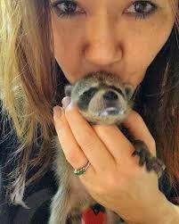 Little Bit Wildlife Rescue...