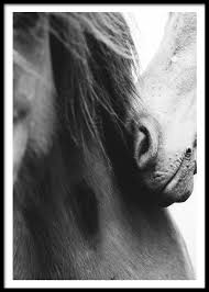 Eternal Love Poster Beril Yamac Poster Tasarim Posterler Illustrasyon