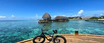 Shiatsu-Praxis Mag. Herbert Wiesenhofer · Qualified Practioner, Qualified  Trainer, Qualified Teacher, Qualified Senior Teacher · Zertifiziert vom  Österreichischen Dachverband für Shiatsu