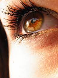 What Color Eyes Do You Have Amber Eyes Aesthetic Eyes Beautiful Eyes Color