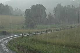 Coonabarabran Farmers Welcome Winter Rain Welcome Winter Smell Of Rain Rain