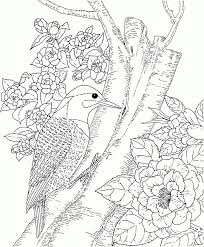 You can print or color them online at getdrawings.com for 600x760 landscape coloring pages for adults. Free Nature Coloring Pages For Kids Drawing With Crayons