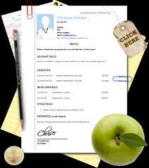 Most people use the default word templates to create their cvs. Sample Of Curriculum Vitae Cv Assignment Point