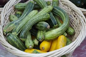 Best And Worst Companion Plants For Zucchini And Summer Squash