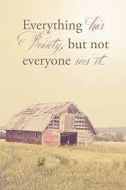 Everything Has Beauty Photography Copyright Catherine Jane Joy Quotes About Photography Country Quotes Words