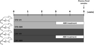 You can download in.ai,.eps,.cdr,.svg,.png formats. Impact Of Gut Microbiota On Plasma Oxylipins Profile Under Healthy And Obesogenic Conditions Clinical Nutrition