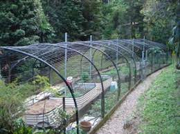 Lay the net over the entire vine, then wrap it underneath the trellis and close the bottom of the net by tying it with garden twine. Netting