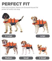Best Dog Life Jacket Our Top 7 For 2019 Reviewed