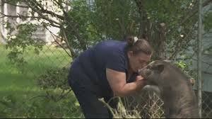 Dustin hallock — valkyrie 05:15. D8keoovrp8y81m