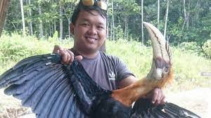 Karena itu, burung enggang sangat dimuliakan oleh suku dayak. Bikin Geram Ngaku Kelaparan Pria Ini Ingin Santap Burung Langka Khas Kalimantan Halaman All Tribun Kaltim