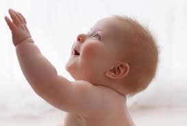 Pamela Fallon Photography Grand Rapids Photographer