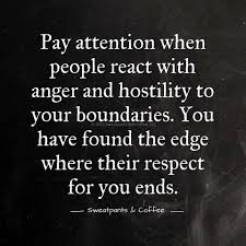 Pay Attention When People React With Anger And Hostility To Your Boundaries You Have Found The Edge Where Their Respect Fo Words Life Quotes Quotes To Live By