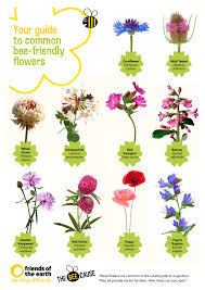 Pin By Steff Schroder On The Bee Cause Bee Friendly Plants Bee Friendly Flowers Bee Friendly Garden