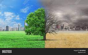 Half alive and half dead tree standing at the crossroads of climate change on city background. Concept Climate Has Image Photo Free Trial Bigstock