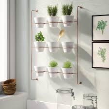 Tipos De Jardin Panosundaki Pin