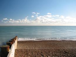 A groyne (ame groin) is a low wall or timber framework built out from a sea shore to prevent beach erosion … Free Groins Stock Photo Freeimages Com