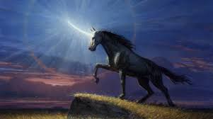 Image result for Loxodera