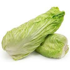 Tutte le vaietà di piante da orto orto mio. Radicchio Verde Pan Di Zucchero 500gr Gasperi Cremona Local Food