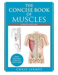 The purpose of this unit study on bones and muscles is to help students learn and understand the function and purpose of the bones and muscles in the body. The Concise Book Of Muscles 4th Edition Pdf Free Pdf Epub Medical Books