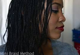 My Mini Braids Feb 2015 Long Natural Hair Natural Hair Styles Natural Hair Braids