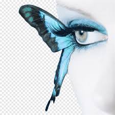 Butterfly blue phengaris alcon, blue butterfly, seven blue butterflies, blue, insects, color png. Butterfly Blue Eye Graphy Cosmetics Creative Butterfly Makeup Blue Face Png Pngegg