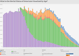 Visualizing How Americans Differ By Age