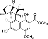 Image result for Pentas bussei