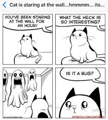 A scientific study conducted back in 2009 shows that dogs make better pets than cats. Another Reason Dogs Are Better Than Cats Funny
