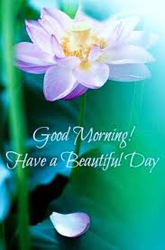 Comfort Spring Station S Pursuing A Natural Lifestyle Have A Beautiful Day Good Morning Love Good Morning Wishes