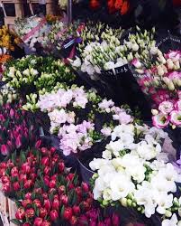 Flowers Kings Road Chelsea Uk Pretty Flowers Flowers Bloom