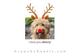 29 Dog Christmas Puns Jokes That Will Make You Cry Laughing Happy Go Doodle