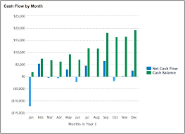 Projected Cash Flow With Liveplan Lean Business Planning